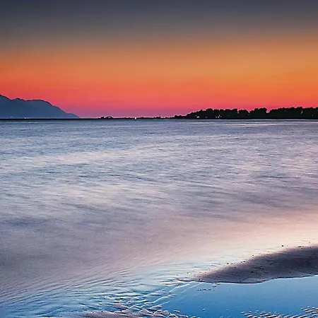 1 Bedroom Lovely In Apartment