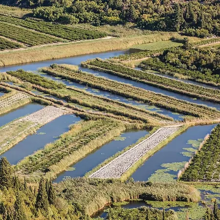 1 Bedroom Lovely In * פלוצ'ה